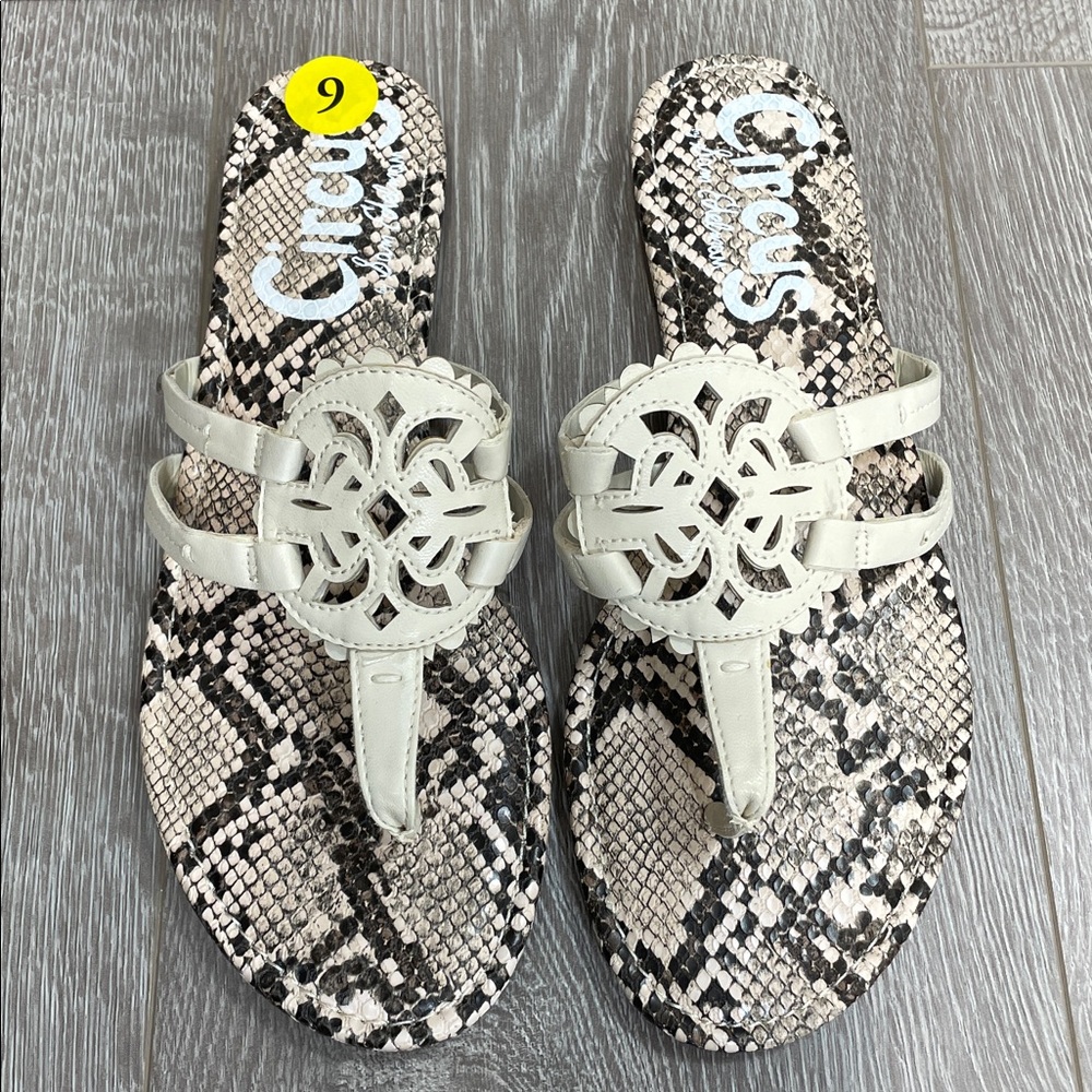 NWT Circus by Sam Edelman Cherri Medallion Flat Thong Sandals Snakeskin Print 9M